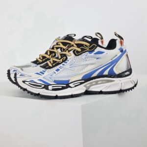 Shoe
